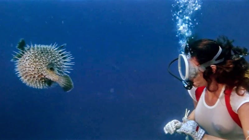 7 potápěčských filmů, které chcete vidět