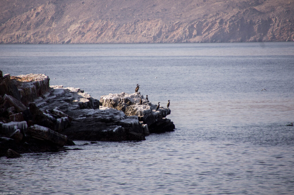 Omán má reliéf pobřeží ne nepodobné polárním oblastem.