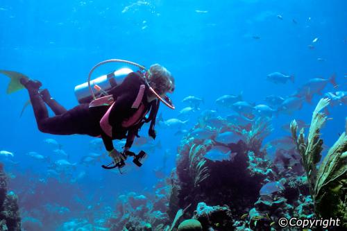 pulau-payar-scuba-diving-03